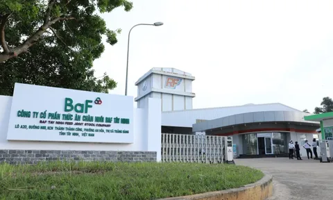 BAF sẽ thế nào khi ngưng hoàn toàn hoạt động kinh doanh nông sản?