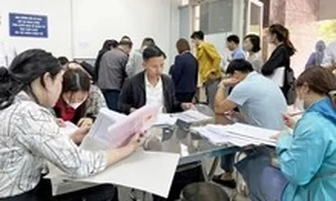 Lãnh đạo tỉnh Phú Thọ yêu cầu xử lý 'cò mồi' làm thủ tục đất đai