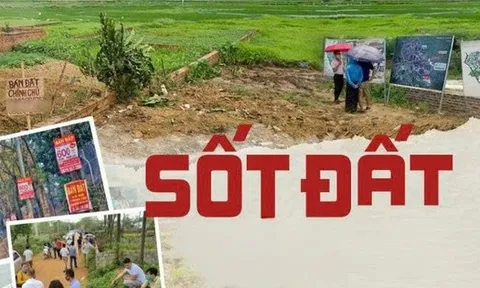 Khi nào đất nền lại “sốt”?
