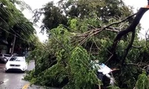 Dông lốc quét qua Đồng Nai, hàng loạt cây xanh, trụ điện ngã đổ, nhà tốc mái