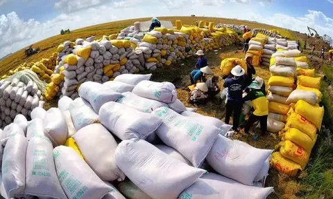 Giá gạo xuất khẩu giảm!
