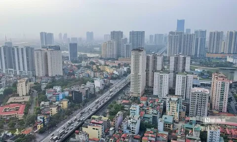 Giải thể Ban Chỉ đạo tổng kết thi hành Luật Đất đai