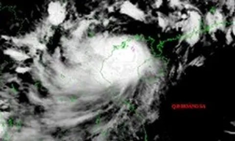 Bão số 3 Wipha bất ngờ ít di chuyển, đang mạnh lên