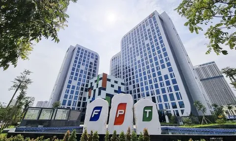 Triển vọng bộ đôi cổ phiếu FPT và FOX