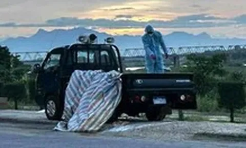 Chính quyền giải thích việc chôn heo bệnh gần sông Trà Khúc là 'chôn tạm'