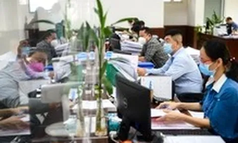 Phó thủ tướng Nguyễn Hòa Bình chỉ đạo hoàn thành đánh giá xếp loại chất lượng cán bộ, công chức