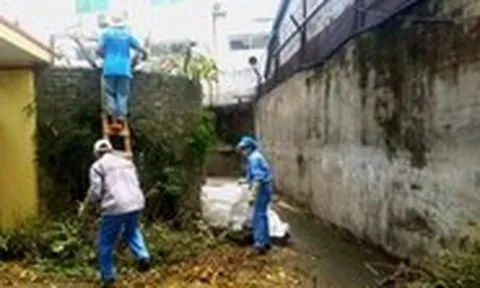 Rò rỉ hóa chất tại nhà máy bột giặt VICO làm dân bị ngất, cây sém lá: Công an vào cuộc xác minh