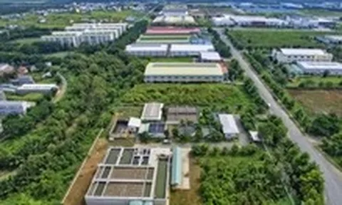 Tây Ninh tiếp tục nỗ lực nâng cao chỉ số xanh