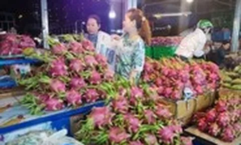 TP.HCM có 'giải pháp đặc biệt' giải quyết hồ sơ xuất khẩu nông sản sang châu Âu