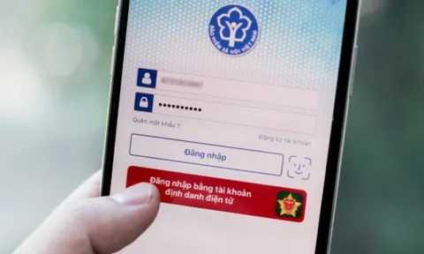 Cách tra cứu bảo hiểm xã hội, bảo hiểm thất nghiệp trên VssID