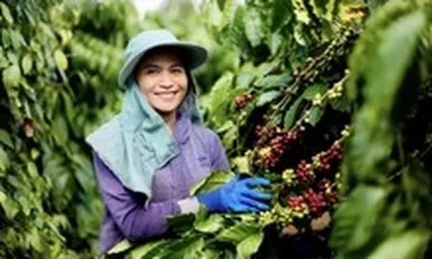 Việt Nam lên kế hoạch làm ít nhất 15 mô hình sản xuất nông nghiệp giảm phát thải