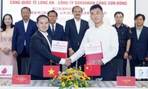 Cảng quốc tế Long An ký hợp tác với Cụm cảng Sơn Đông Trung Quốc và hãng tàu của Singapore