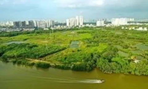 Hai đại gia mới cho Quốc Cường Gia Lai vay 230 tỉ đồng là ai?