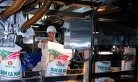 PVCFC kết quả bứt phá - sức khỏe tài chính mạnh mẽ