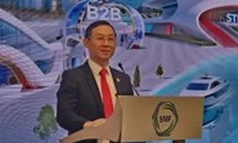 Ra mắt nền tảng thương mại điện tử cho doanh nghiệp Việt Nam và Singapore