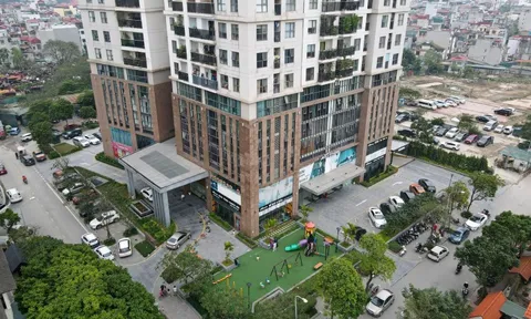 Tranh chấp khu vực để xe ô tô tại Chung cư Hà Đô Park View: Tòa phúc thẩm bác kháng cáo
