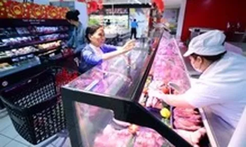 Cấp tốc ngăn dịch tả heo châu Phi