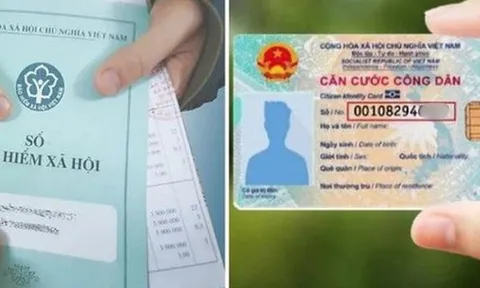 Hướng dẫn sử dụng số định danh cá nhân, căn cước công dân thay thế mã số Bảo hiểm xã hội và bộ mã quản lý