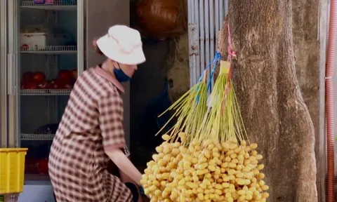 Chà là tươi Thái Lan giá rẻ bán khắp Hà Nội