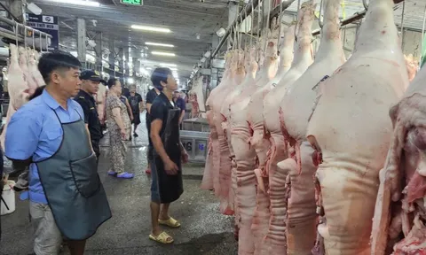 Giá thịt heo bình ổn giảm đến 10.000 đồng/kg