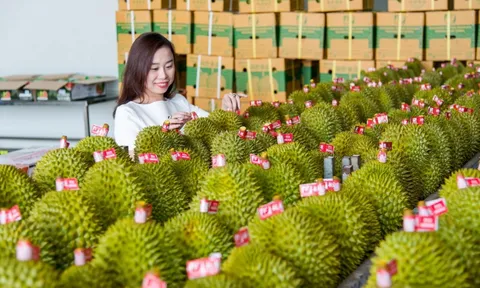 Đưa nông nghiệp Việt Nam vào top 15 thế giới năm 2030