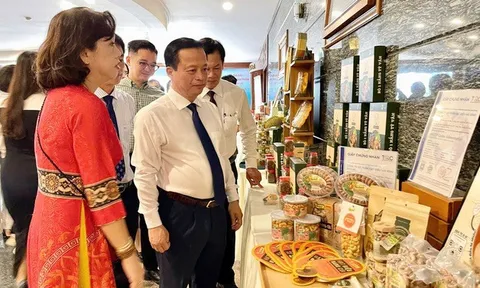 Nông sản Gia Lai rộng đường xuất khẩu chính ngạch sang Trung Quốc
