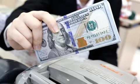 Không chỉ vàng miếng SJC, giá USD tại Việt Nam cũng lập đỉnh