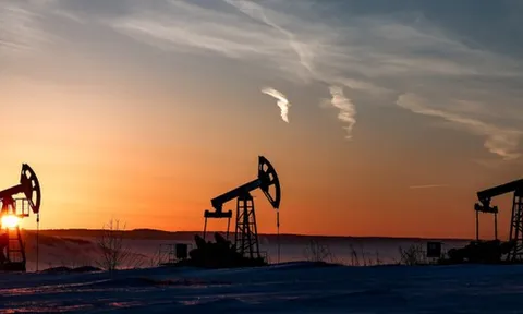 Không phải Mỹ, đây mới là lí do khiến quốc gia BRICS giảm nhập khẩu dầu Nga còn 1/3 chỉ trong vòng 1 tháng