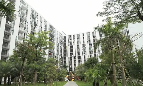 Hà Tĩnh: Tháo gỡ khó khăn, tăng tốc triển khai các dự án nhà ở xã hội