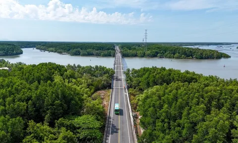 VinSpeed đề xuất đầu tư đường sắt đi Cần Giờ tốc độ 350km/h, cuối năm nay khởi công