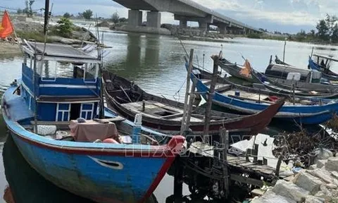 Chỉ đạo của Ban Bí thư về ứng phó với cơn bão số 5 (Kajiki)