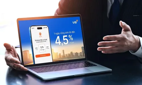 Siêu Lợi Suất VIB giúp doanh nghiệp biến dòng vốn nhàn rỗi thành công cụ sinh lời