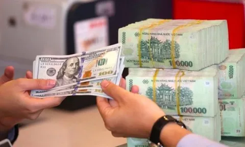 VND tiếp tục mất giá trong tháng 8, áp lực tỷ giá có thể đến từ tình trạng găm giữ USD khi NHNN đang thực hiện nới lỏng chính sách tiền tệ