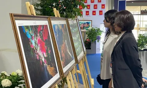 80 năm độc lập, gói trọn trong trải nghiệm mang tên "Việt Nam Hạnh phúc"