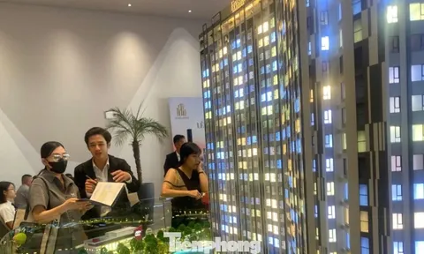 Làm gì để chặn môi giới bất động sản 'lùa gà' khách hàng?