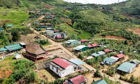 Tương lai mở ra ở làng 'quốc bảo' sâm Ngọc Linh