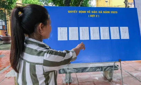 Vấp ngã tuổi 25 và dự định cho ngày mai