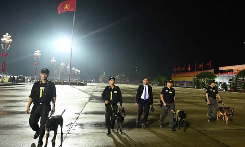 Xem cảnh sát sử dụng chó nghiệp vụ kiểm tra vật liệu nổ, bảo vệ an ninh trật tự A80