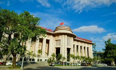 NHNN hút ròng trên thị trường mở, lãi suất liên ngân hàng giảm ở tất cả các kỳ hạn dưới 1 tháng
