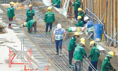 Phú Quốc cần đẩy mạnh cưỡng chế thu hồi đất, giải phóng mặt bằng làm dự án đón APEC