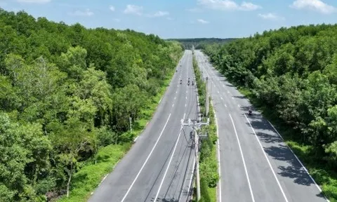TP.HCM chỉ đạo liên quan đề xuất làm đường sắt đô thị của các doanh nghiệp lớn