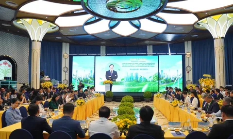 Không nên máy móc khi áp dụng các tiêu chuẩn quốc tế vào tài chính xanh Việt Nam