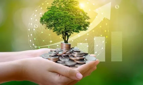 Những con số bất ngờ về thị trường vốn xanh ở Việt Nam