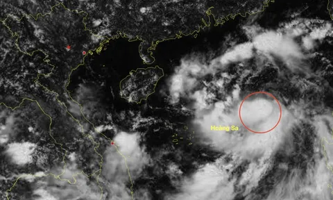 Dự báo tối nay bão Tapah hình thành trên Biển Đông, cường độ cực đại có thể đạt cấp 10