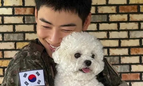 Cha Eun Woo khiến người hâm mộ 'tan chảy' vì khoảnh khắc hội ngộ cún cưng