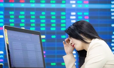 VN-Index hụt hơi sau đỉnh 1.700, dòng tiền vẫn ở lại thị trường