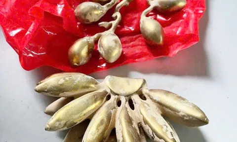 Dùng nải chuối, chùm cau bằng đồng mạ vàng 'vờ' đào được để lừa dân đổi dây chuyền vàng