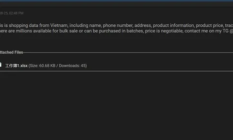 Hacker rao bán dữ liệu của Giao Hàng Nhanh và Sapo trên "web đen"