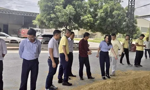 PVCFC tăng tốc mở rộng thị phần tại Campuchia