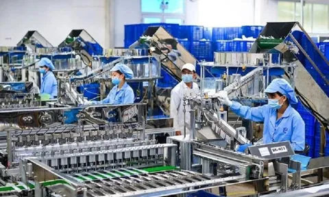 TPHCM ưu tiên phát triển AI, công nghệ sinh học, năng lượng sạch